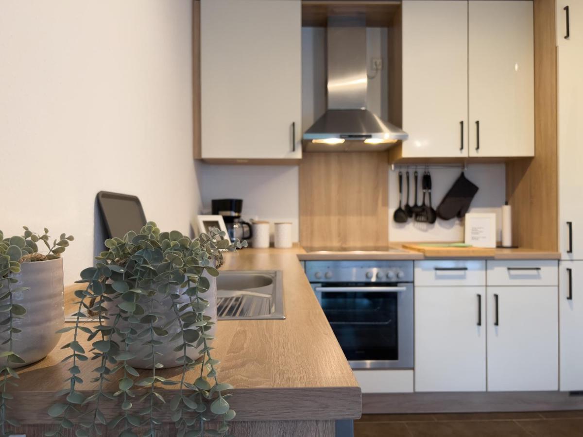 Vila Zentral. Stylisch. Toni House Mit Viel Platz! Lingen Exteriér fotografie